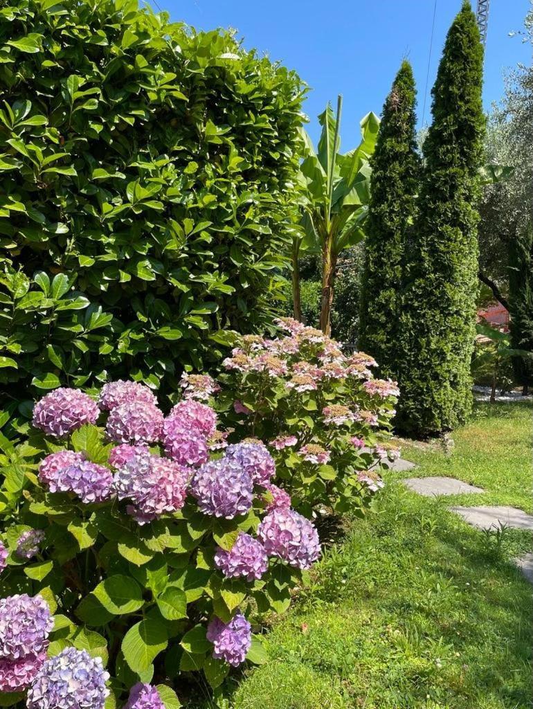 Appartamento La Perla Торри-дель-Бенако Экстерьер фото
